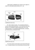 Referāts 'E vielas piena produktos', 19.
