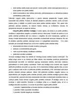 Referāts 'Latgales pilsētu attīstības stratēģija', 12.