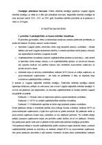 Referāts 'Latgales pilsētu attīstības stratēģija', 13.