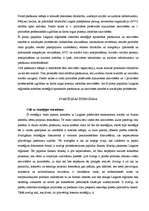 Referāts 'Latgales pilsētu attīstības stratēģija', 16.