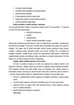 Referāts 'Latgales pilsētu attīstības stratēģija', 17.