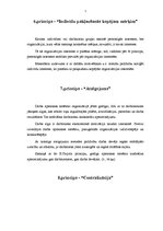 Referāts 'Henrija Faijola vadīšanas principi', 7.