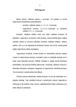 Referāts 'Henrija Faijola vadīšanas principi', 11.