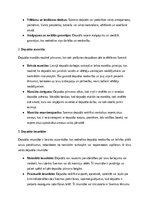 Konspekts 'Konstitucionālo tiesību, administratīvo tiesību un administratīva procesa tiesīb', 19.