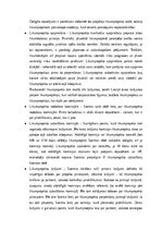 Konspekts 'Konstitucionālo tiesību, administratīvo tiesību un administratīva procesa tiesīb', 25.