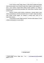 Referāts 'Tiesu sistēmai piederīgās personas', 13.