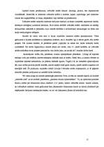 Referāts 'Tiesu sistēmai piederīgās personas', 17.