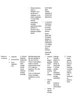 Konspekts 'Mikrobioloģija. Baktērijas', 6.