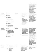 Konspekts 'Mikrobioloģija. Baktērijas', 10.