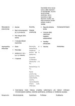 Konspekts 'Mikrobioloģija. Baktērijas', 11.