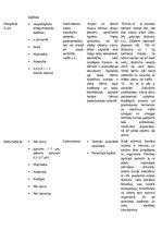 Konspekts 'Mikrobioloģija. Baktērijas', 12.