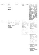 Konspekts 'Mikrobioloģija. Baktērijas', 13.