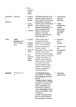 Konspekts 'Mikrobioloģija. Baktērijas', 21.