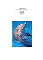 Konspekts 'Delfīni', 1.