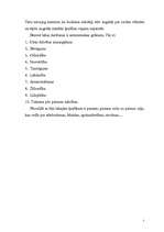 Referāts 'Budisma ētika', 5.