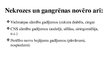 Prezentācija 'Gangrēna', 4.