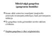 Prezentācija 'Gangrēna', 15.