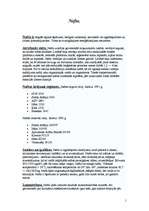 Konspekts 'Nafta', 1.