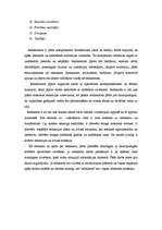 Konspekts 'Redaktora darbs presē un citos plašsaziņas līdzekļos', 3.