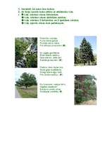 Konspekts 'Darba lapu krājums latviešu valodā sākumskolai', 1.