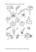 Konspekts 'Darba lapu krājums latviešu valodā sākumskolai', 11.