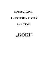 Konspekts 'Darba lapu krājums latviešu valodā sākumskolai', 16.