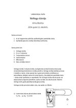 Paraugs 'Stirlinga dzinējs', 1.