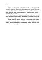 Referāts 'Budžeta izpildes kontrole', 2.