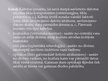 Prezentācija 'Datortīkli', 4.