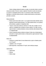 Referāts 'Betona veidi', 3.