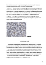 Referāts 'Betona veidi', 12.