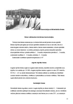 Referāts 'Betona veidi', 13.