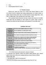 Prakses atskaite 'Profesionālās prakses pārskats viesnīcu uzņēmējdarbībā', 7.