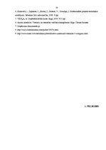 Prakses atskaite 'Profesionālās prakses pārskats viesnīcu uzņēmējdarbībā', 39.