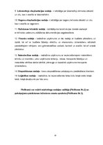 Prakses atskaite 'SIA "LDz Cargo"', 10.