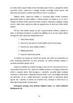 Prakses atskaite 'SIA "LDz Cargo"', 16.