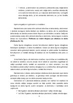 Prakses atskaite 'SIA "LDz Cargo"', 21.