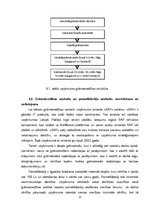 Prakses atskaite 'SIA "LDz Cargo"', 23.