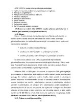 Prakses atskaite 'SIA "LDz Cargo"', 39.