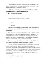 Prakses atskaite 'SIA "LDz Cargo"', 45.