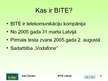 Prezentācija 'Bite Latvija', 3.