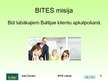 Prezentācija 'Bite Latvija', 5.
