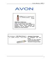 Referāts 'Avon firmas apraksts', 2.