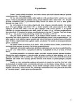 Referāts 'Biznesa ideja', 2.