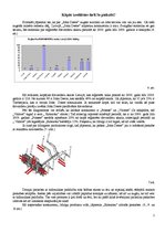 Referāts 'Biznesa ideja', 5.