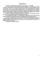 Referāts 'Biznesa ideja', 7.