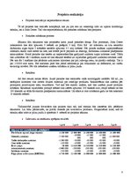 Referāts 'Biznesa ideja', 8.