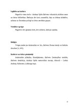 Referāts 'Skrīveri - Andreja Upīša "Zaļā zeme”', 11.