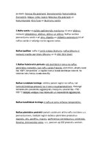 Konspekts 'Nafta', 2.