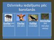 Prezentācija 'Dzīvnieki', 3.